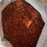 تخم جارو|لوازم جانبی حیوانات|تاکستان, |دیوار