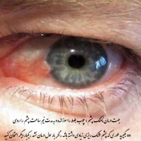 مقاله تجربیات