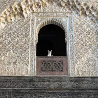 برگزاری رویداد علمی