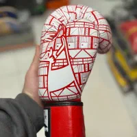 دستکش بوکس و روپا|تجهیزات ورزشی|تهران, امیریه|دیوار