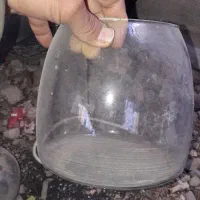 ماهی عید|ماهی|چمران, |دیوار