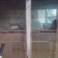 فروش دستگاه پاچینی 8سیخ درحدنو|کافیشاپ و رستوران|استهبان, |دیوار