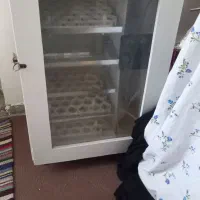 دستگاه جوجه کشی