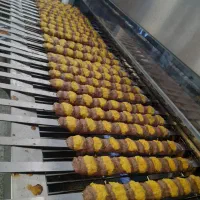 قبول سفارشات هر مدل غذا