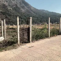 زمین مسکونی شهر نوده خاندوز آزادشهر|فروش زمین و ملک کلنگی|نوده خاندوز, |دیوار