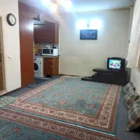 آپارتمان حدود ۵۰ متر ۱ خواب