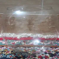 تنگ ماهی