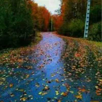 راهنمایی کنید