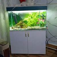 آکواریوم 6خم یک متری