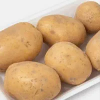 فروش سیب بذری