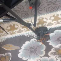 کالسکه|کالسکه و لوازم جانبی|مشهد, محمدآباد|دیوار