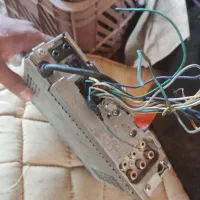 گربه|گربه|کرمان, |دیوار