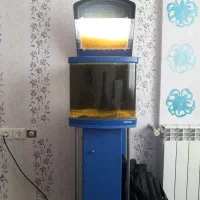 آکواریوم شرکتی ماهیران