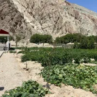 باغ-ویلا-زرین-دشت