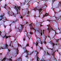زرشک پفکی