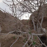 خانه آپارتمان طبقه دوم خوش نقشه