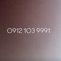 9991 103 0912