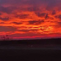 خواستاراجاره  زمین کشاورزی هستم.بلند مدت