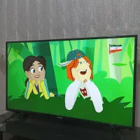 ال ای دی 43 اینچ X.VISON