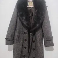 پالتو خزدار