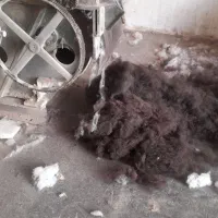 حلاجی|رختخواب، بالش، پتو|خسروشاه, |دیوار