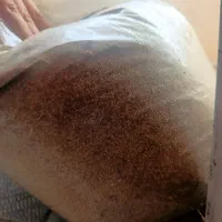 سبزی خشک