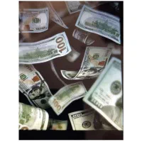 پرداخت سرمایه یک روزه