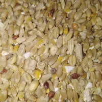 ارزن ریز|لوازم جانبی حیوانات|اصفهان, جاوان|دیوار