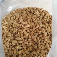 فروش توت خشک هرات