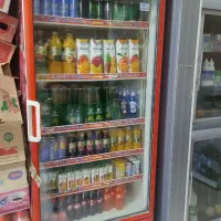 دو عدد یخچال الکترو استیل|یخچال و فریزر|زابل, |دیوار