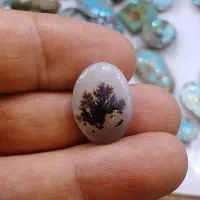 نگین عقیق شجر قائن تک درخت