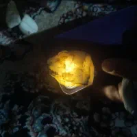 سنگ|کلکسیون اشیاء عتیقه|مشهد, حسین‌آباد|دیوار