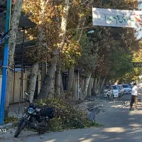 هرس و شاخه های اضافی درخت و مو انگور