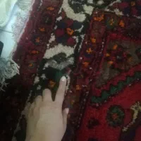 فرش ازندریان گوشتی|فرش|همدان, |دیوار