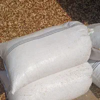 خریدارپسته پوک کمر ابی