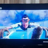 ال ای دی LED 43|تلویزیون و پروژکتور|مشهد, خواجه ربیع|دیوار