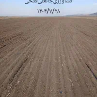 فروش زمین کشاورزی و چاه عمیق