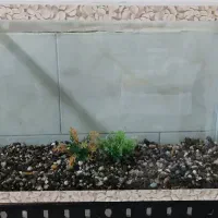 آکواریوم ماهی