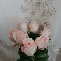 گل رز صورتی