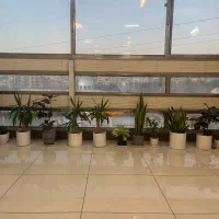 فروشنده اینستاگرامی/بازاریابی اینترنتی