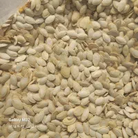 تخمه کدو گوشتی ۳۲۰ نقدی