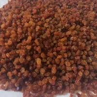 سرکه سیب، انگور،انجیر،آبغوره،غوره شور|خوردنی و آشامیدنی|گرگان, |دیوار