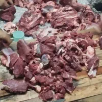 قصاب هستم|خدمات پذیرایی، مراسم|زاهدان, |دیوار