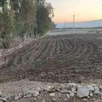 .زمین بر اصلی جاده ریکا|فروش دفتر صنعتی، کشاورزی، تجاری|صالح آباد (ایلام), |دیوار