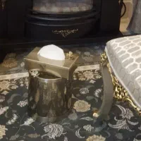 ست سطل و جادستمال کاغذی سطل زباله کنارسالنی