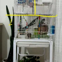 قعس بزرگ و یک جفت کوتوله|پرنده|قم, بوستان علوی|دیوار