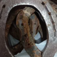 نعل اسب|اسب و تجهیزات اسب‌سواری|محمدشهر, محمدشهر|دیوار