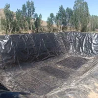 استخر، کشاورزی|خدمات باغبانی و درختکاری|ارومیه, |دیوار