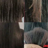 موه خوره گیری با منااسب ترین قیمت