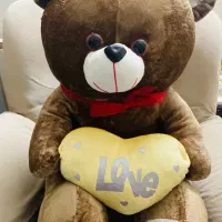 خرس قهوه ایی بزرگ